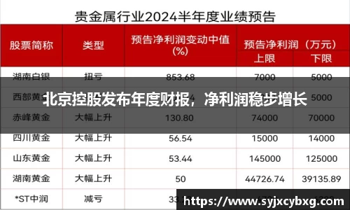 北京控股发布年度财报，净利润稳步增长