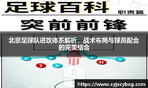 北京足球队进攻体系解析：战术布局与球员配合的完美结合